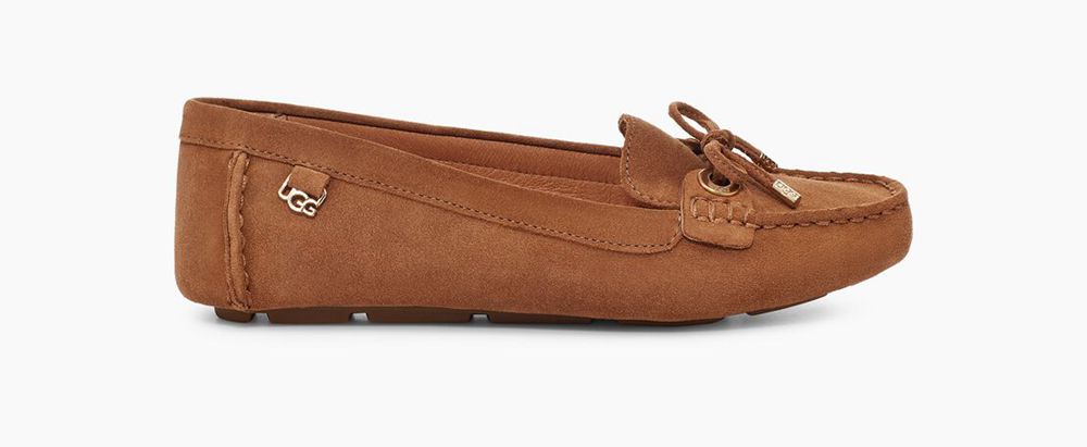 Ugg Eevon - Womens Moccasins - Brown - NZ (5309MFWNP)